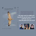 گلوله ای در مغز