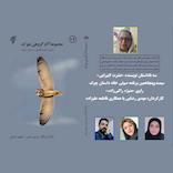 سه ناداستان