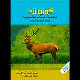 گوزن زرد