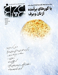 کتاب هفته نامه چلچراغ شماره 771 نشر چلچراغ -  