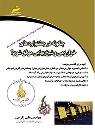 کتاب چگونه در جشنواره های خوارزمی و شیخ بهایی موفق شوم؟ نشر موسسه فرهنگی هنری دیباگران تهران   