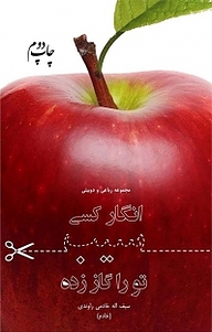 کتاب انگار کسی سیب تورا گاز زده نشر انتشارات هزاره ققنوس   