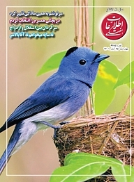 کتاب اطلاعات هفتگی شماره 3995 نشر اطلاعات هفتگی -  
