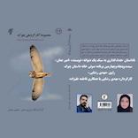 هدف گذاری به سبک یک دیوانه