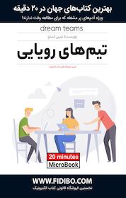 کتاب تیم های رؤیایی اثر شین اسنو