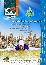 کتاب ماهنامه دانش یوگا شماره 87 نشر دانش یوگا -  