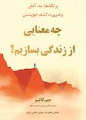 چه معنایی از زندگی بسازیم؟