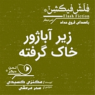 معرفی، خرید و دانلود کتاب صوتی زیر آباژور خاک گرفته