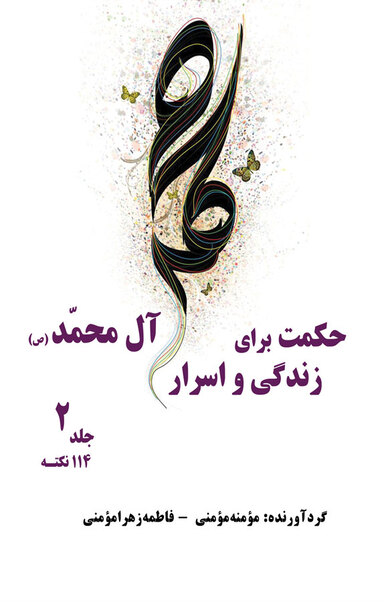 حکمت برای زندگی و اسرار آل محمد(ص) جلد 2