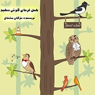 کتاب بلبل خرمای گوش سفید نشر انتشارات شیما - نسخه صوتی 