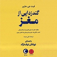 گندزدایی از مغز