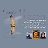 ناله‌های زمینی