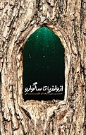 از وُلفیا تا ساگوارو