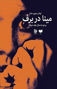 کتاب مینا در برف نشر آمو   