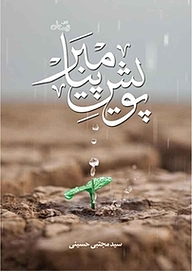 کتاب پویش پیامبر(ص) نشر انتشارات کتاب نیستان هنر   