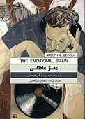 مغز عاطفی