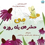 مِی حشره ی یک روزه