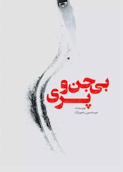 کتاب بیجن و پری اثر میرحسین رحیمنژاد فلاحی نشر انتشارات نسل روشن