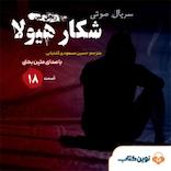 سریال شکار هیولا جلد 18