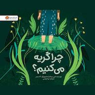 کتاب صوتی چرا گریه میکنیم؟ فرن پینتادرا انتشارات مهرسا