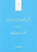 تحلیل اقتصادی حقوق مسئولیت مدنی