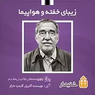 کتاب زیبای خفته و هواپیما نشر انتشارات شنیدار - نسخه صوتی 