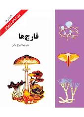 قارچ‌ها