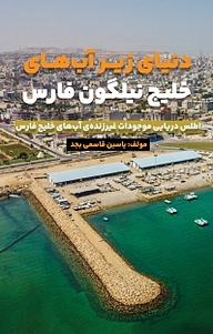 کتاب دنیای زیر آب های خلیج نیلگون فارس نشر یاسین قاسمی‌بجد   