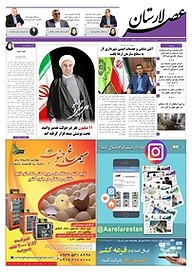 کتاب هفته نامه عصر لارستان شماره 33 نشر عصر لارستان -  