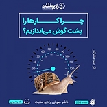 چرا کارها را پشت گوش می اندازیم؟