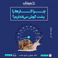 کتاب چرا کارها را پشت گوش می اندازیم؟ نشر رادیو مثبت - نسخه صوتی 