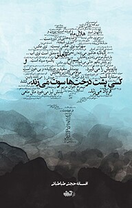 کتاب  کسی پشت درخت ها سوت می زند نشر آموزه