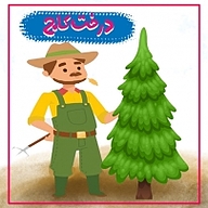 کتاب درخت کاج نشر انتشارات شیما - نسخه صوتی 
