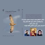 آینه‌های محدب