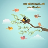 کتاب کلاغی که پرواز نکنه کلاغ نیست نشر انتشارات شیما - نسخه صوتی 