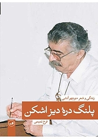 پلنگ درۀ دیزاشکن