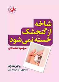 کتاب  شاخه از گنجشک خسته نمی‌شود نشر انتشارات امیرکبیر