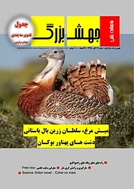 کتاب ماهنامه علمی جهش بزرگ شماره 11 نشریه جهش بزرگ -  
