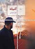 آشیانه