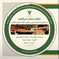 سکون سخن می گوید