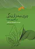 چیزی بیشتر از زندگی