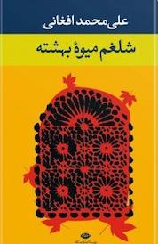 کتاب شلغم میوه بهشته اثر علی محمد افغانی نشر انتشارات نگاه