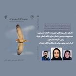 یک روز عادی