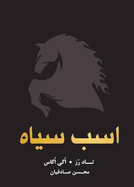 کتاب اسب سیاه اثر تاد رز نشر نارنگی