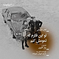 تو این فکرم که تمومش کنم