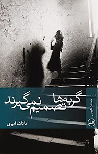 کتاب گربه ها تصمیم نمی گیرند نشر ثالث   