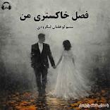 فصل خاکستری من