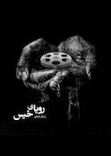 رویای خیس