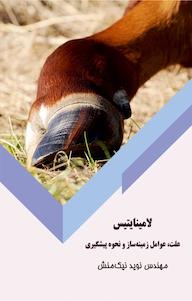 کتاب لامینایتیس اثر نوید نیک منش نشر کلید پژوه