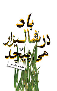 کتاب باد در شالیزار می پیچد نشر انتشارات کتابسرای تندیس   